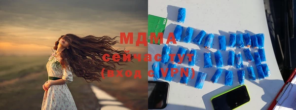 PSILOCYBIN Алзамай