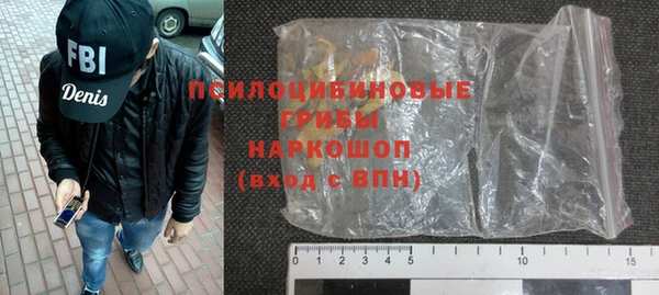 PSILOCYBIN Алзамай